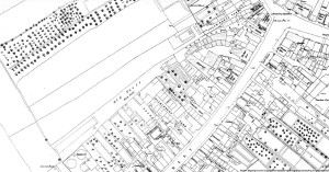 A section of the 1851 OS Map showing the proposed site for Coronation Park